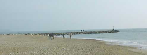 The breakwater has caused the rebuilding of the beach at the easterly end of Hengistbury Head