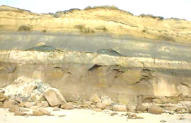 Hengistbury Head cliff face showing strata