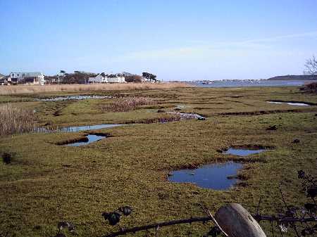 Near the car park, looking east towards Mudeford Creek and Strides Boatyard
